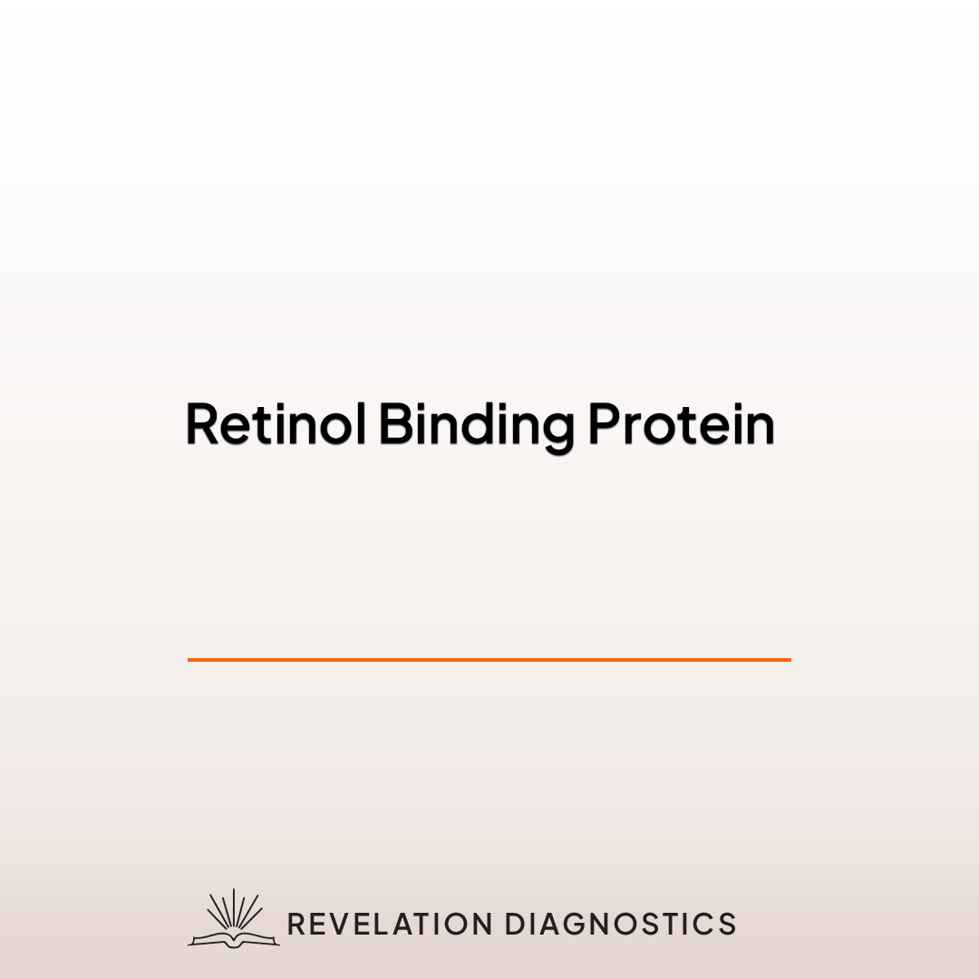 Retinol Binding Protein