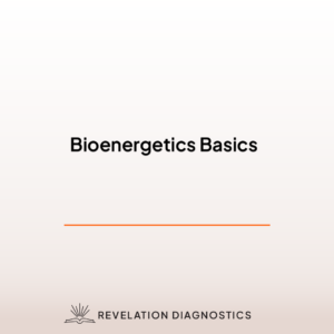 Bioenergetics Basics